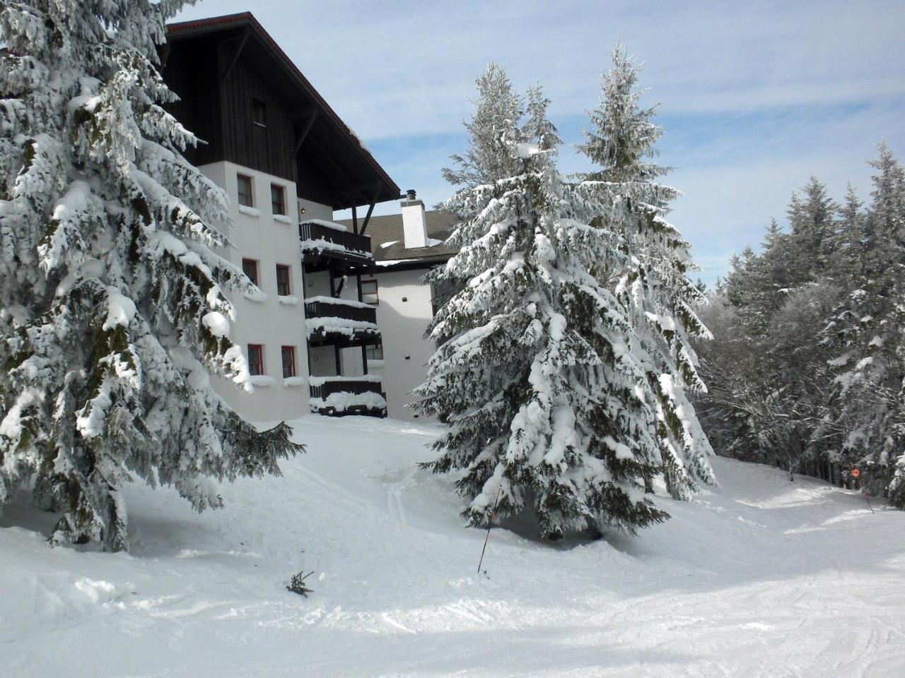 Whistlepunk 32 Villa Snowshoe Exterior foto